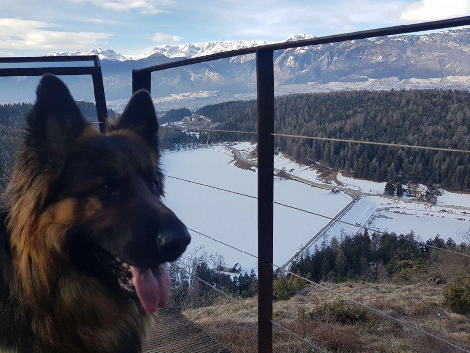 Affittacamere Dolce Sogno Coredo Eksteriør billede