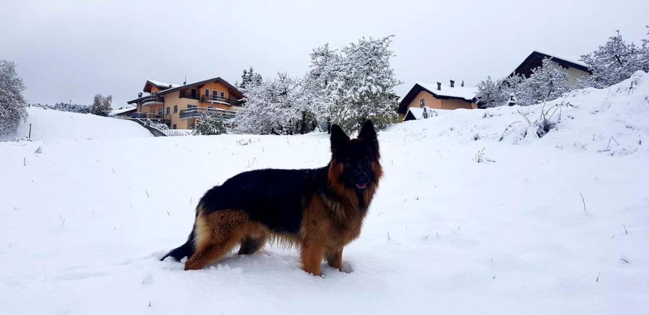 Affittacamere Dolce Sogno Coredo Eksteriør billede